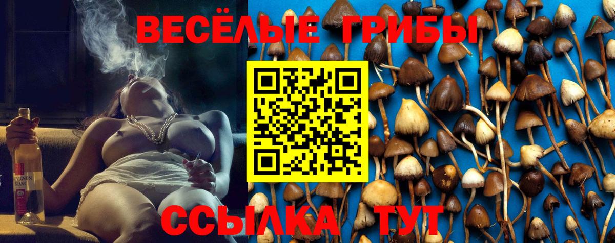 Галлюциногенные грибы Magic Shrooms Ялуторовск