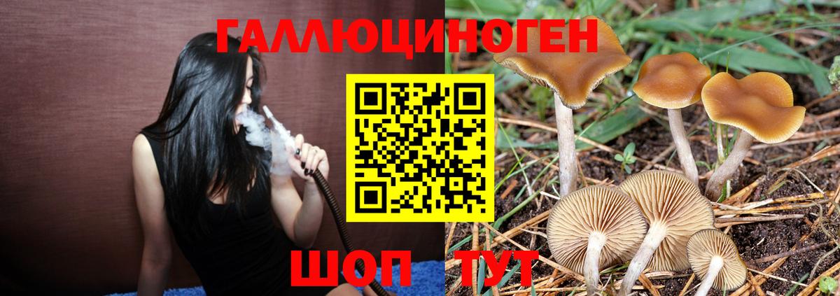 продажа наркотиков  Вход с VPN  Псилоцибиновые грибы мухоморы  Ялуторовск  Галлюциногенные грибы MAGIC MUSHROOMS 